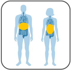 Bauch­raum­unter­suchung (MRT/CT)