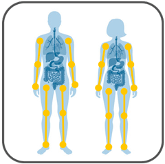 Gelen­k-, Arm- und Bein­unter­suchung (MRT/CT)